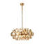 9 - Light Chandelier