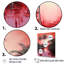«Ruby Reflection Palms» par The Shore, impression sur toile-97027666-97027667