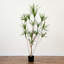 72 plantes