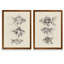 « un poisson rouge ii » par vincent van gogh-ensemble de 2 reproductions d’images-1350287909-1350288861-1350284110