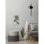 The Foliage by Parvez Taj - Single Picture Frame Print-790183313