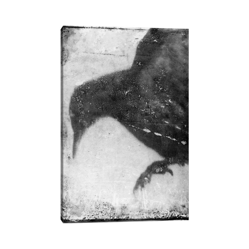 B&W Flight I by Ingrid Blixt - Wrapped Canvas Print, 66.04 cm H x 45.72 cm W x 1.91 cm D