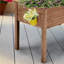 Rectangle Wood  Planter Raised Bed-238315555