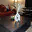 Customer photo 5 of 5