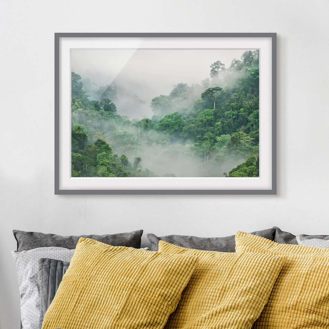 Gerahmtes Poster Jungle in the Mist