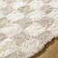 Tapis tissé à la machine en polypropylène crème / beige clair Molly-998846597
