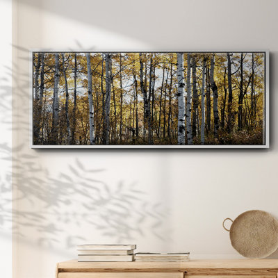 Toile encadrée de qualité supérieure Sunny Grove - prête à être accrochée