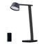 Lampe de bureau noire 17,32 po