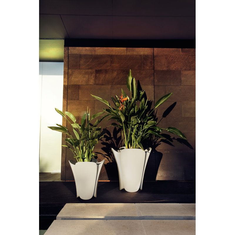 Pezzettina Plastic Pot Planter