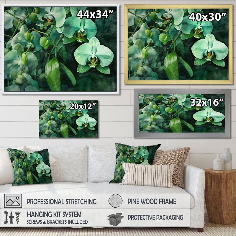 «Fantasy Green Orchid Dreamscapes I» sur toile, Cadre flottant noir, 34" H x 44" W