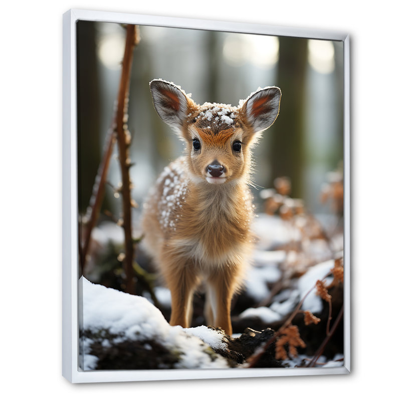 Mignon bébé, portrait de cerf en hiver - art mural animal cerf, Cadre flottant blanc, H 32 po x l 24 po