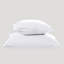 Organic Tencel Pillow Protector Set-127055023