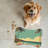 Old-World Hawaiian Beach - Bone Shape Feeding Mat