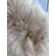 Tapis Novelty Pakin-2130726032