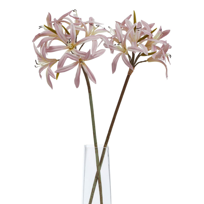 The Natural Garden Collection Nerine Lily Stem, Pink