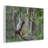 Funny Baboon Outside Wall Art