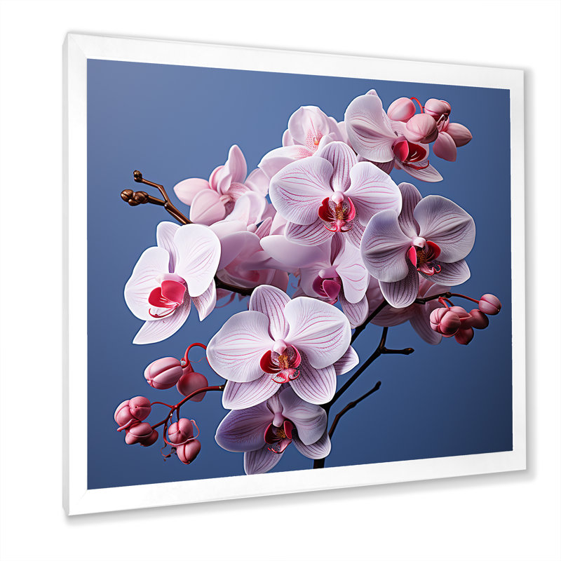 Orchidées mauves I - orchidées murales, Cadre simple blanc, H 24 po x l 24 po x P 1 po