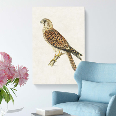 A Common Kestrel by Von Wright - Wrapped Canvas