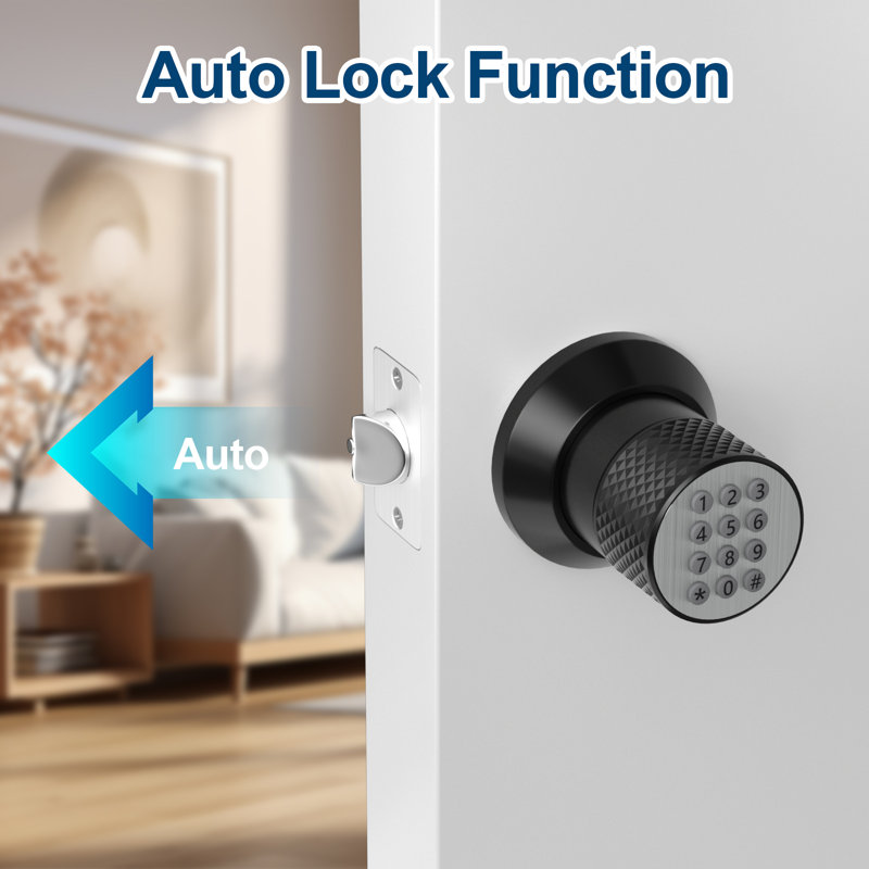 Keyless Smart Digital Door Lock with Keypad, Black