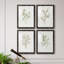 Simple Sprig I - ensemble de 4 reproductions de cadres photo-2075732643-2075732645