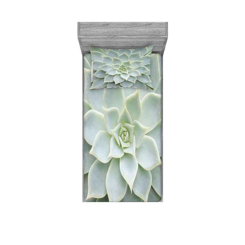 Drap-housse et coussin décoratif Ambesonne Desert, vert sauge, Ensemble de draps pour lit simple + 5 pièces supp