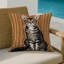 Coussin intérieur et extérieur Cats-115090483-115090499