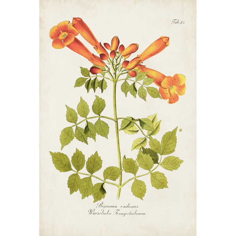 Tropical Trumpet Flowers III 1 Piece Wrapped Canvas Wall Art, 122cm H x 81cm W x 3.8cm D