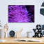 «Striped Long Tentacle Anemone» par Epic Portfolio, art mural en verre acrylique-24939875