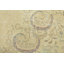 Tapis beige unique 7 pi 5 po x 10 pi 4 po One-of-a-Kind