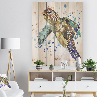 Tortue bleue - tortue bleue