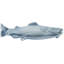 Fish 3" Center Bar Pull-1969287526