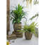 Ensemble de 2 pots de fleurs en fer vieilli, L: 13 x 13 x 14,5 po: 11 x 11 x 13,5 po
