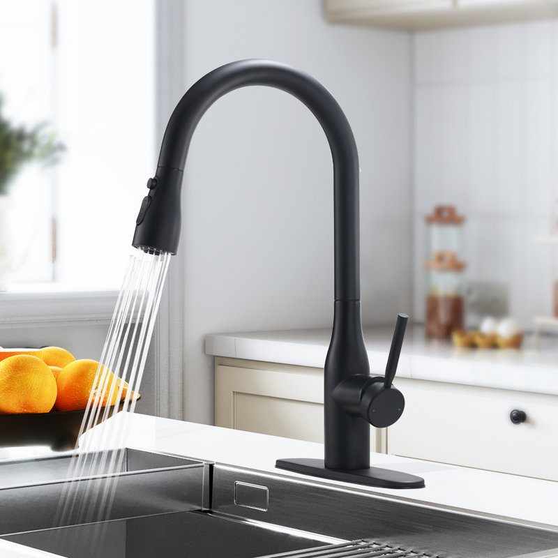 Robinet de cuisine SUNRINX, Noir mat