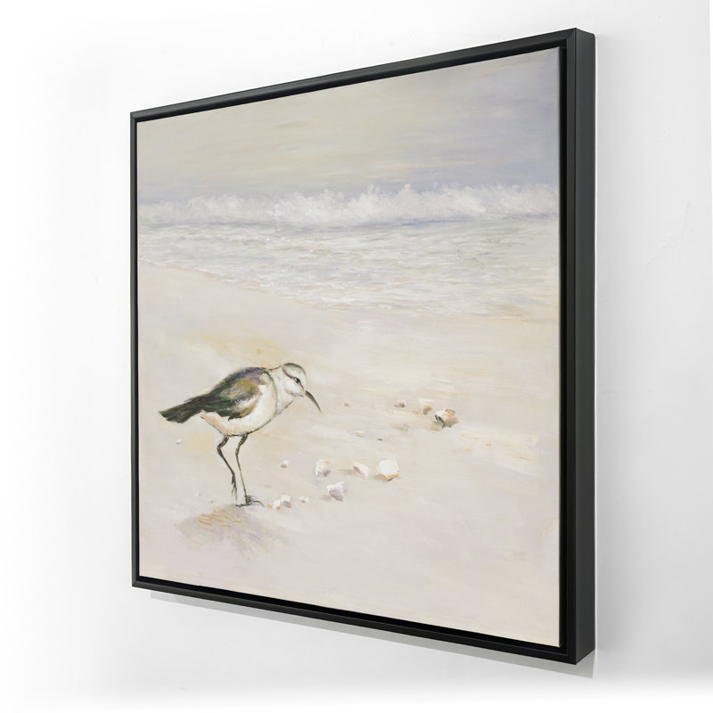 Semipalmated Sandpiper on the Beach - Bird Bathroom Canvas