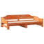 Capirano Solid Wood Daybed with Trundle-1948849449-1948849444