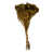 Or Aspen est en rupture de stock