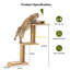 Carlill Scratching Post