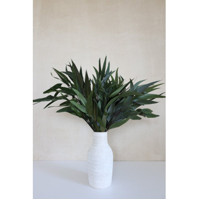 Branche d'eucalyptus préservé de 20 po