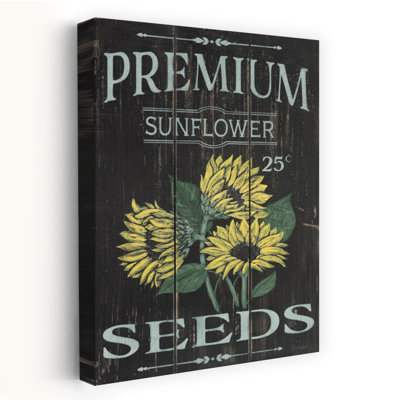 Tournesol tournesol traditionnel
