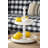 Carnot Tray