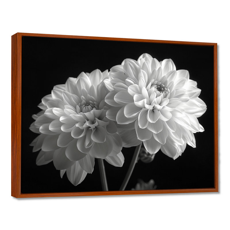 Monochromes blanc noir, «Mums Botanical Beauty I», reproduction d'art mural, Toile tendue, H 12 po x l 20 po x P 1 po