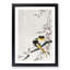Two Sable Red Tails and Cherry Blossom by Ohara Koson - Framed Print-55606103-55606106
