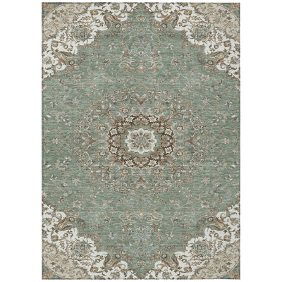 Machine Washable Indoor/Outdoor Chantille ACN2495 Global Rug