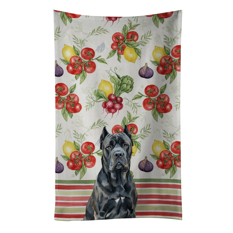 Torchon Cane Corso, Cane Corso