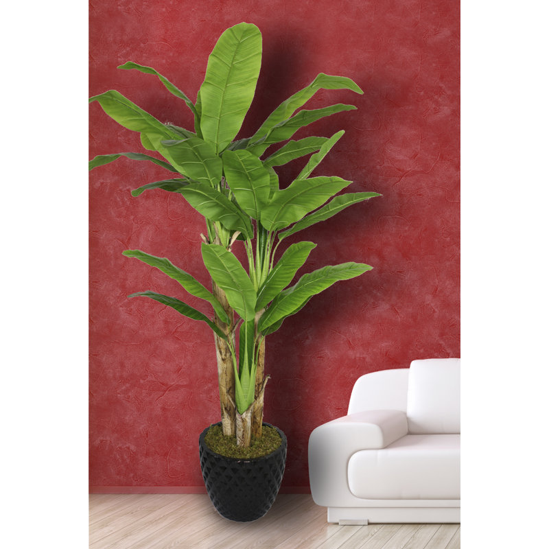 Bananier artificiel en pot 77,5 po Panama, Noir
