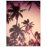 Dreamy Palms 1 Print by Mat Sanders