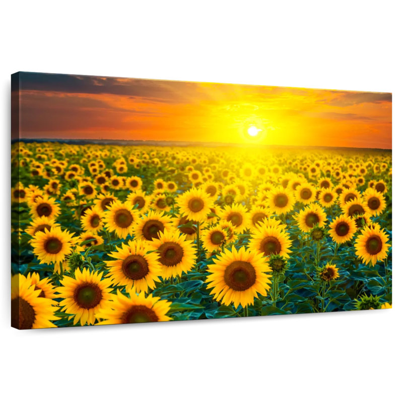 Alvord, coucher de soleil avec tournesols, H 8 po x l 12 po
