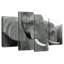 Elephant Ivory Tusks-108857536