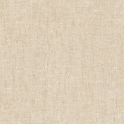 Italian Textures 4 Intreccio Congo Wallpaper