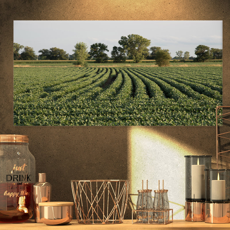 " Wisconsin Soybean Field Rows ", 16" H x 32" W x 1" D